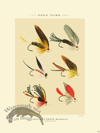 Favorite Flies 26 Bass